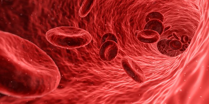 Anemia: i 10 alimenti per combatterla