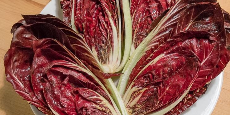 Insalata trevigiana al formaggio di capra