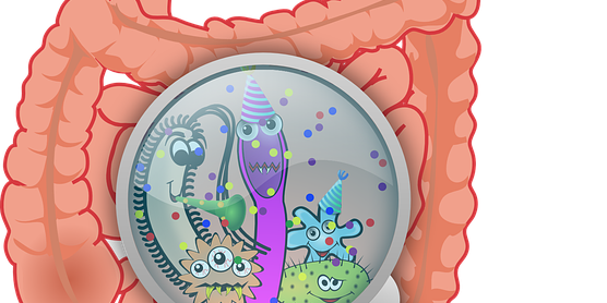 Il microbioma umano, questo sconosciuto