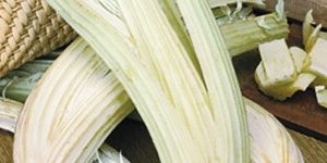 Verdure di stagione: i cardi Verdure di stagione: i cardi